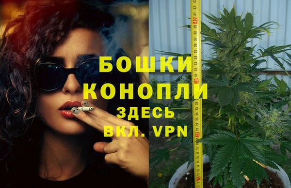ГАЛЛЮЦИНОГЕННЫЕ ГРИБЫ Заводоуковск