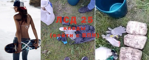 ГАЛЛЮЦИНОГЕННЫЕ ГРИБЫ Заводоуковск