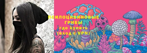 ГАЛЛЮЦИНОГЕННЫЕ ГРИБЫ Заводоуковск