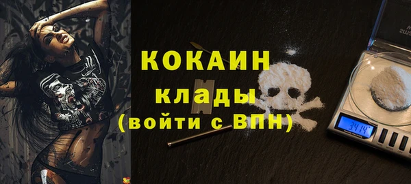 ГАЛЛЮЦИНОГЕННЫЕ ГРИБЫ Заводоуковск