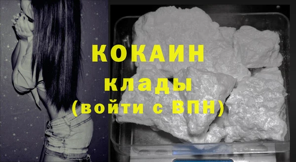 ГАЛЛЮЦИНОГЕННЫЕ ГРИБЫ Заводоуковск