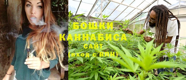 ГАЛЛЮЦИНОГЕННЫЕ ГРИБЫ Заводоуковск