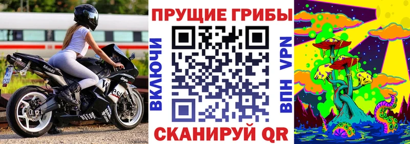 Купить закладки  Долинск  Галлюциногенные грибы Psilocybine cubensis 
